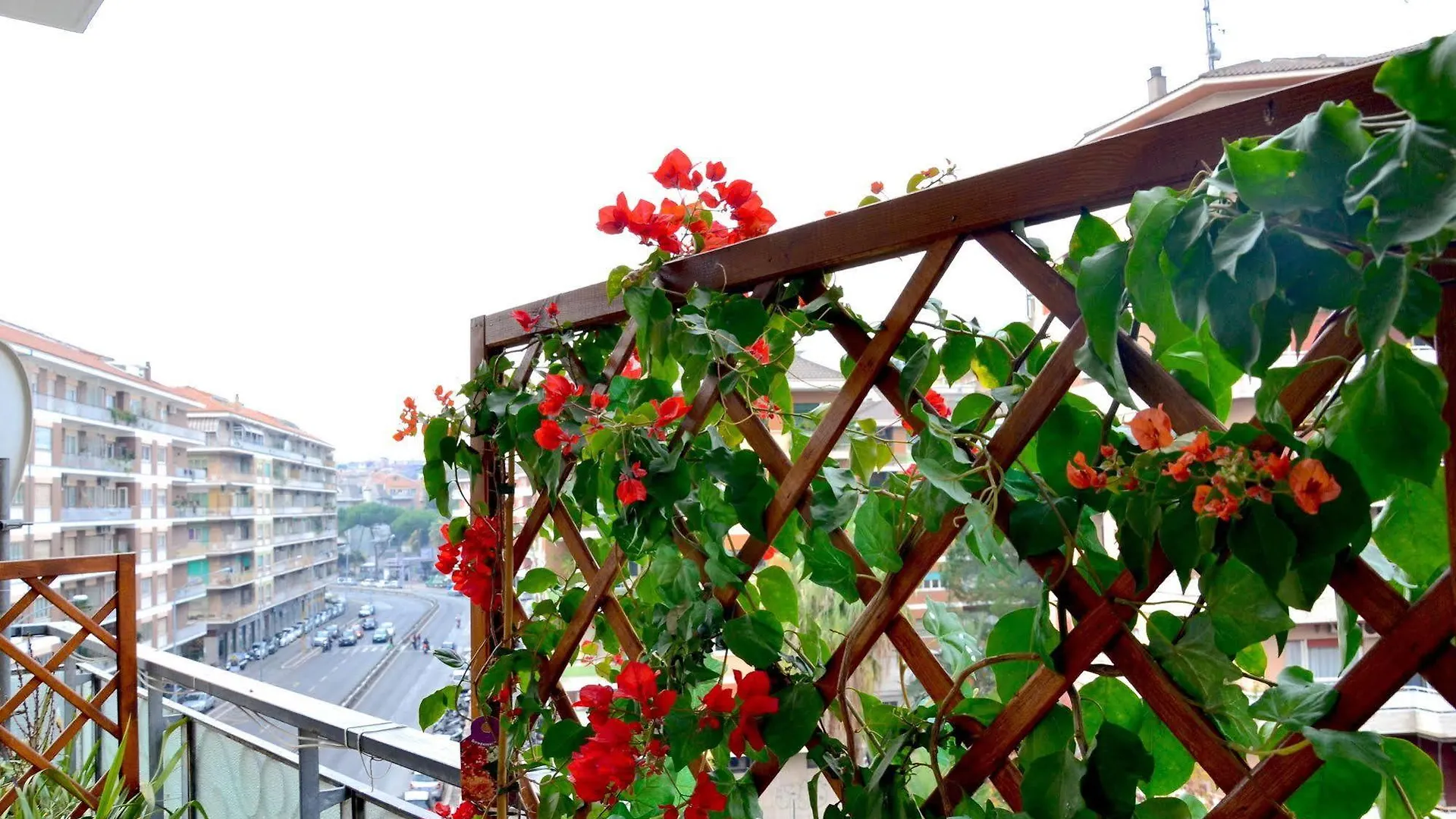 Rome Vatican Eden B&B Italy